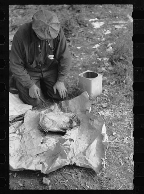 Przygotowywanie żółwia na zupę - 1939 rok w Stanach Zjednoczonych