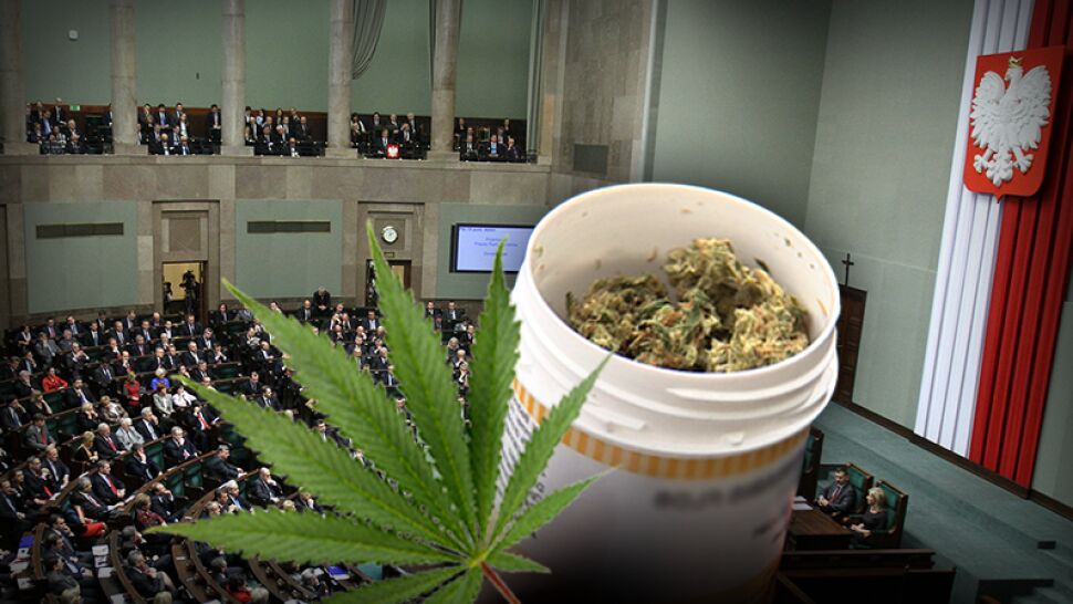 Sejm wyraził zgodę na medyczną marihuanę. "Od dzisiaj chorzy i ich rodziny nie będą przestępcami"